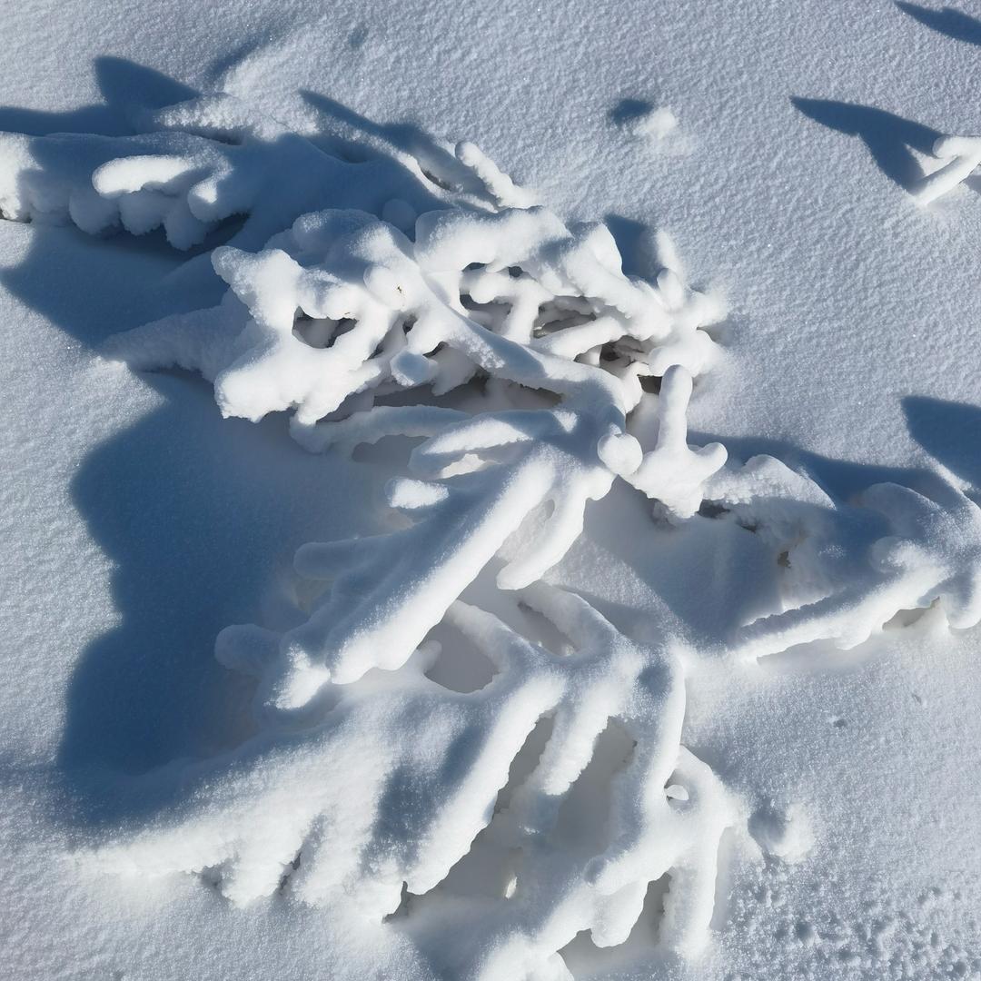 零镜大师隐形车衣