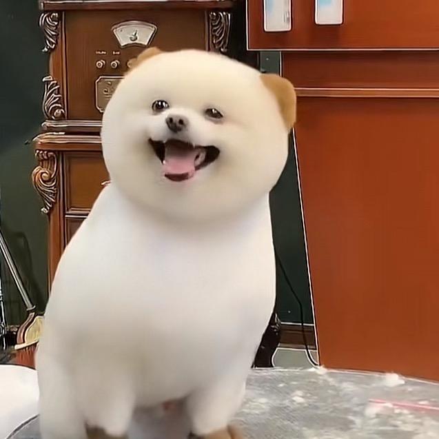 走遍天涯