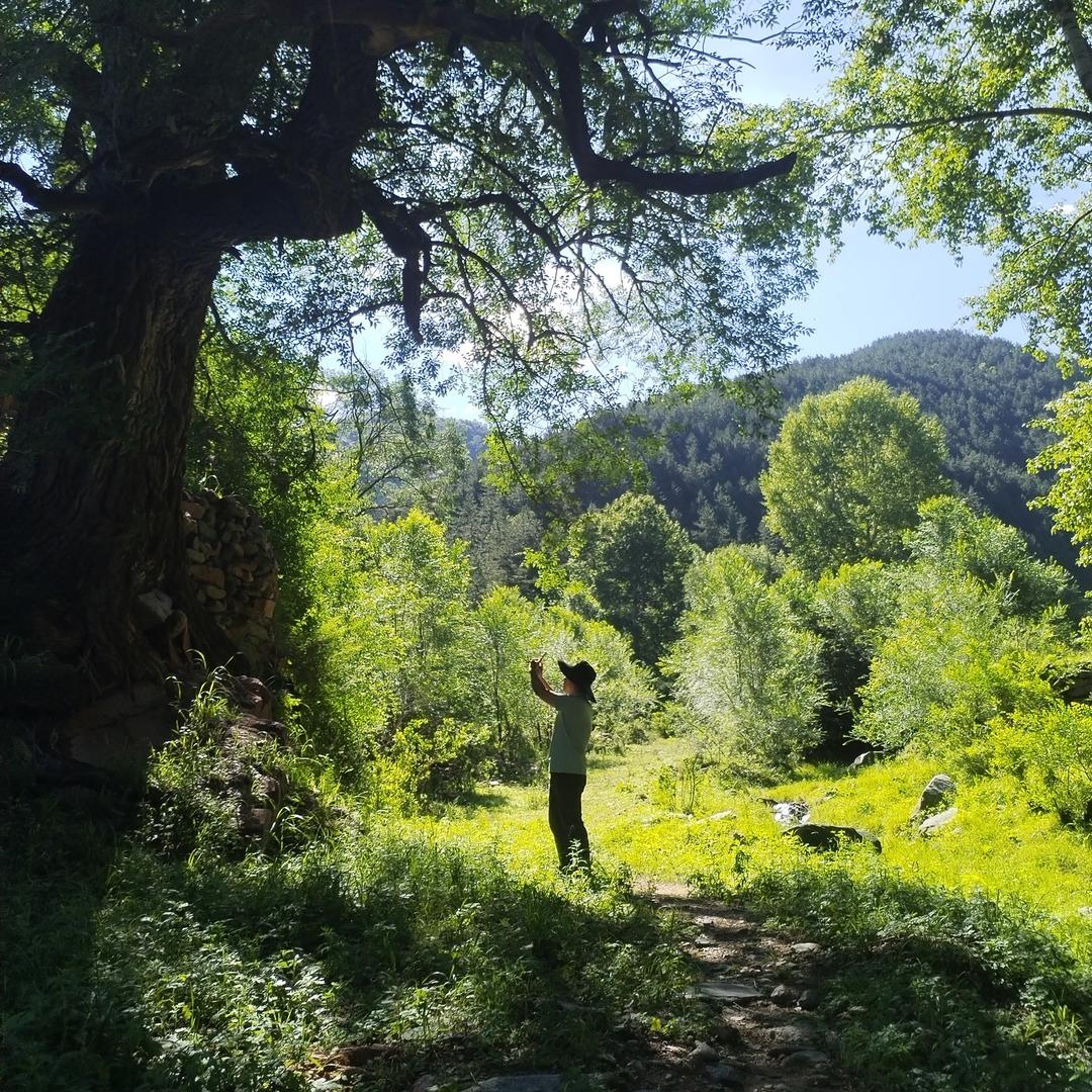 李勇爱旅游