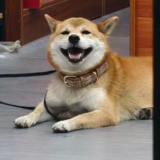 ℒℴѵℯ·挽春·ꦿ໊ོ