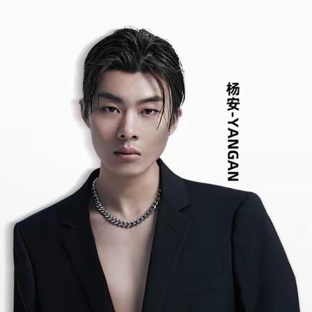 杨安染发甄选