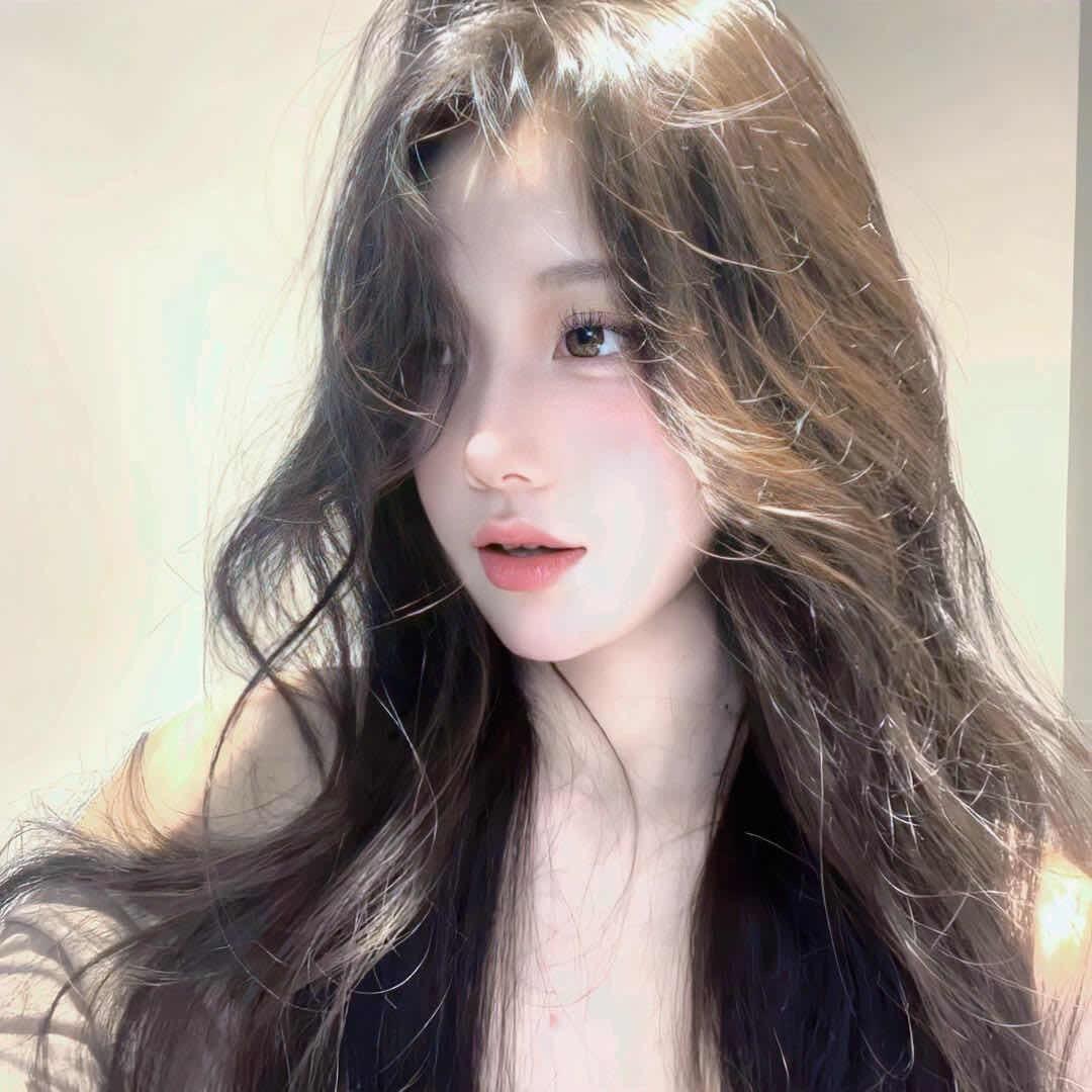 N夏夏🥕