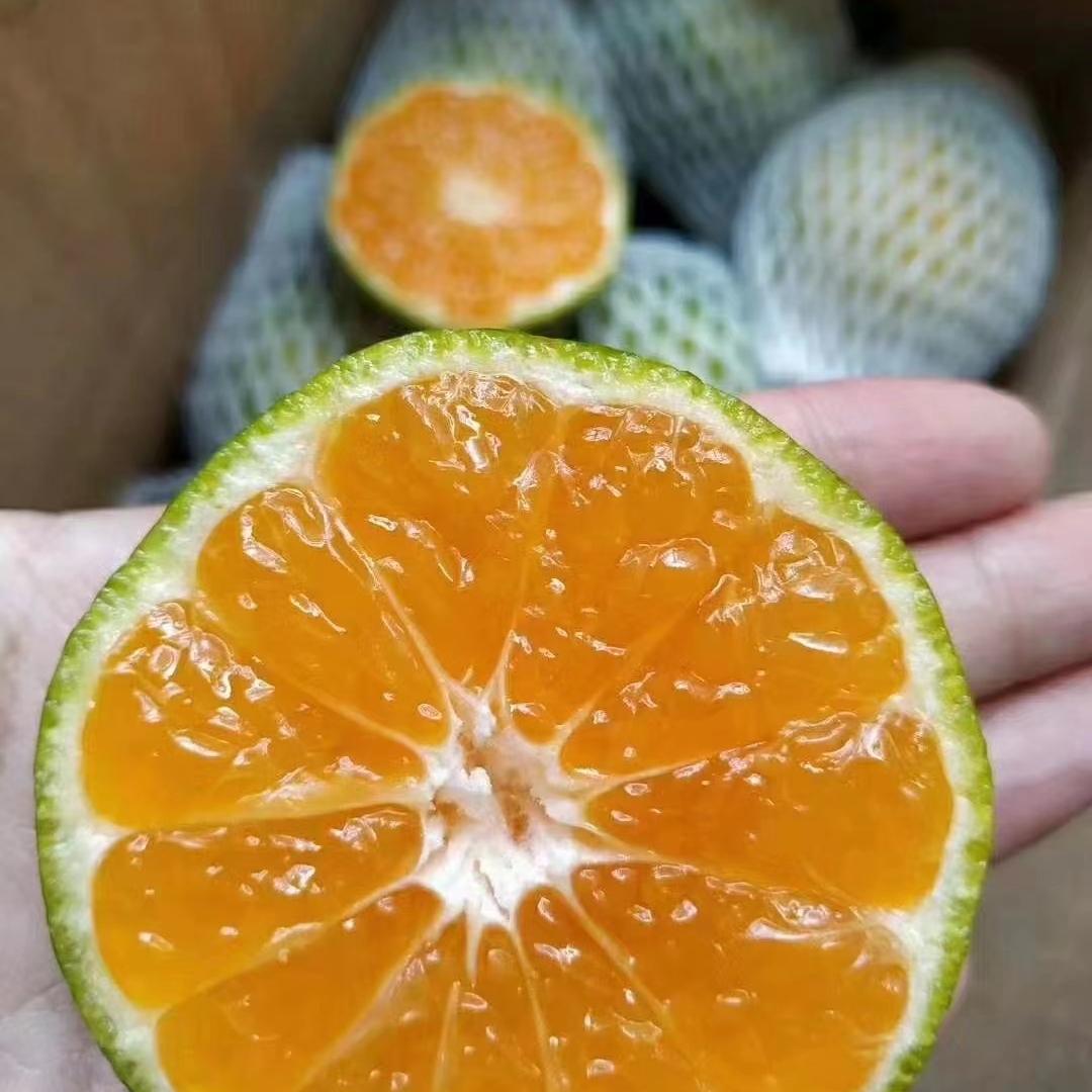 云南四季果水果园