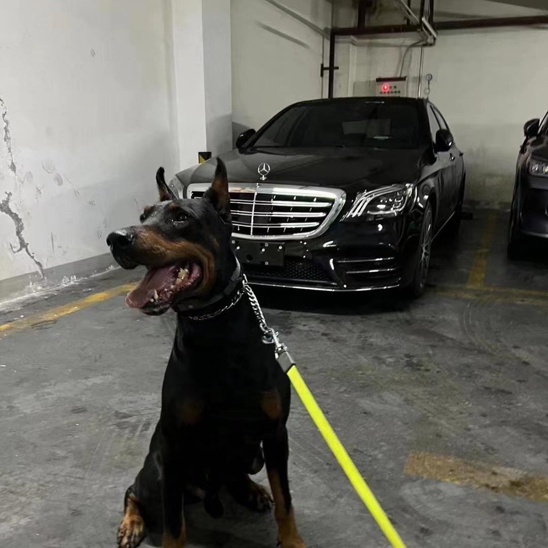 ㅤ 🍊ᅟᅠ玩车🔹