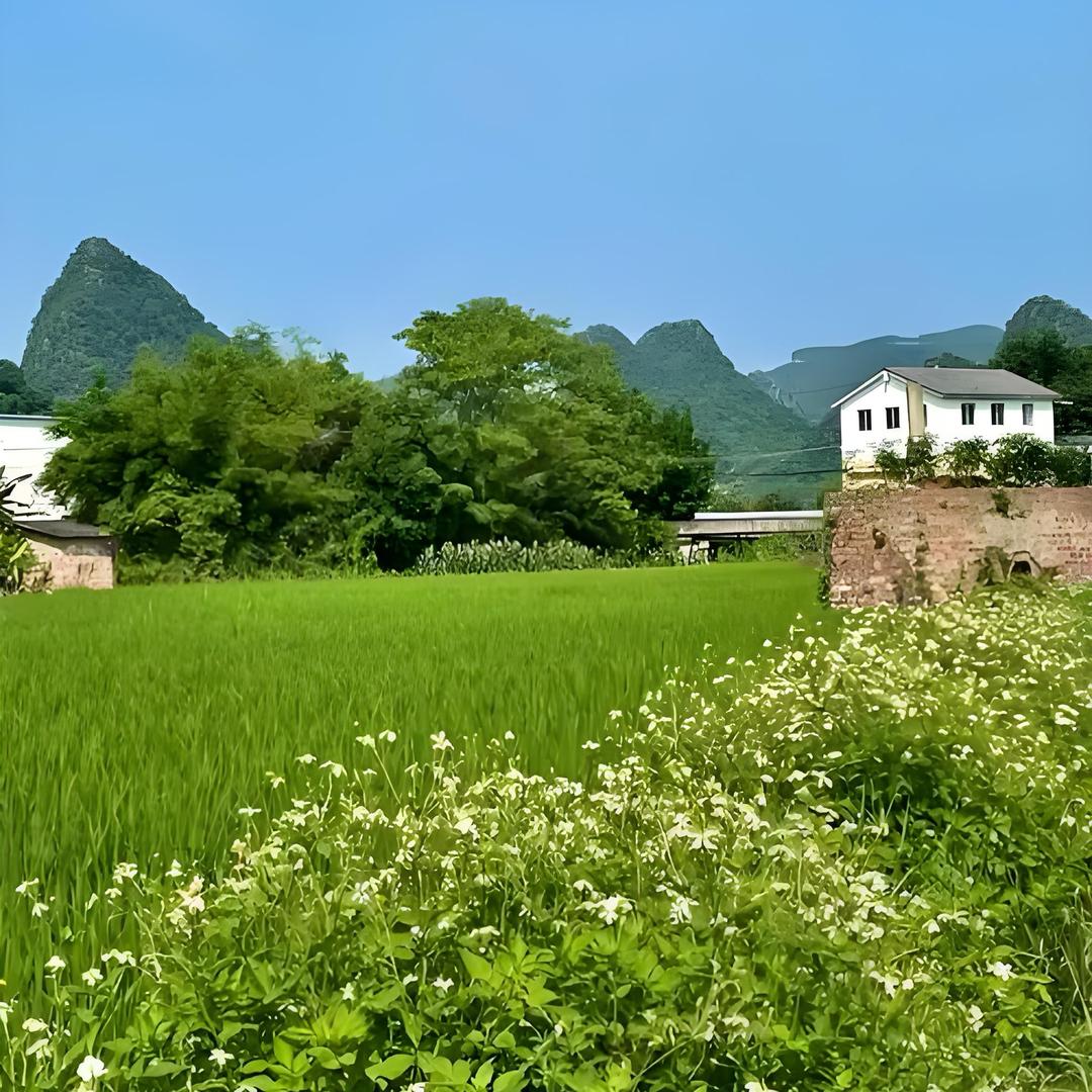 自由地飞翔