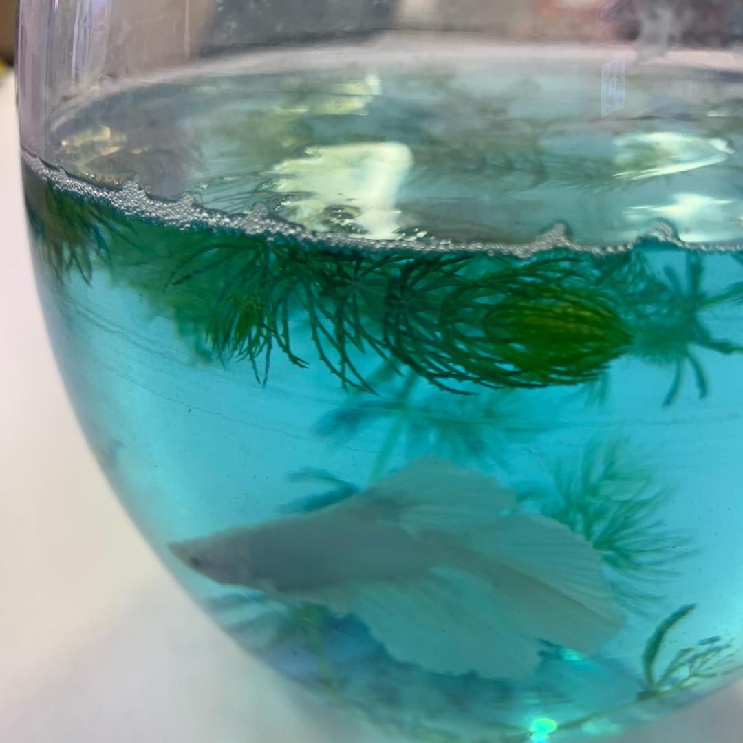 炉子爱生活
