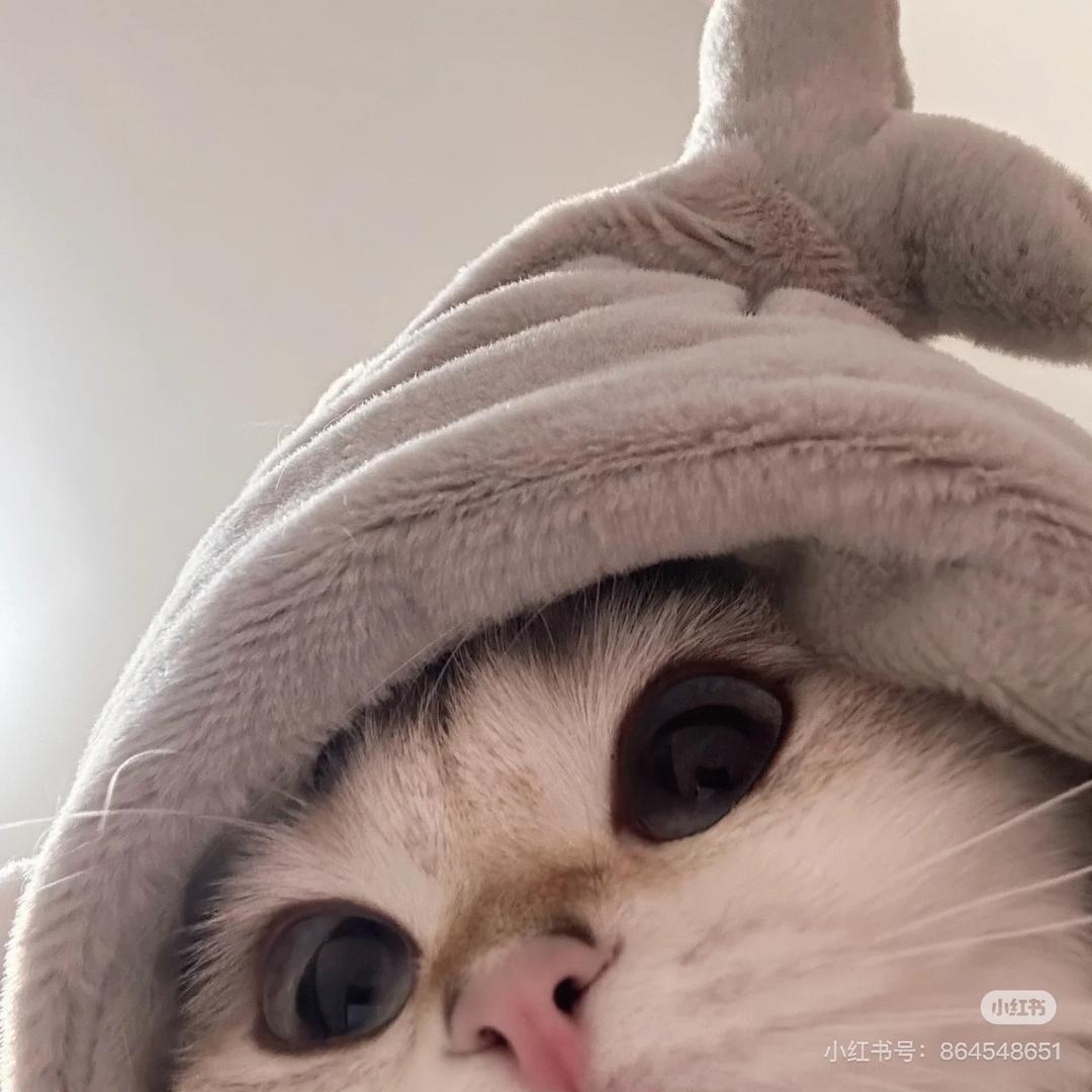 某该