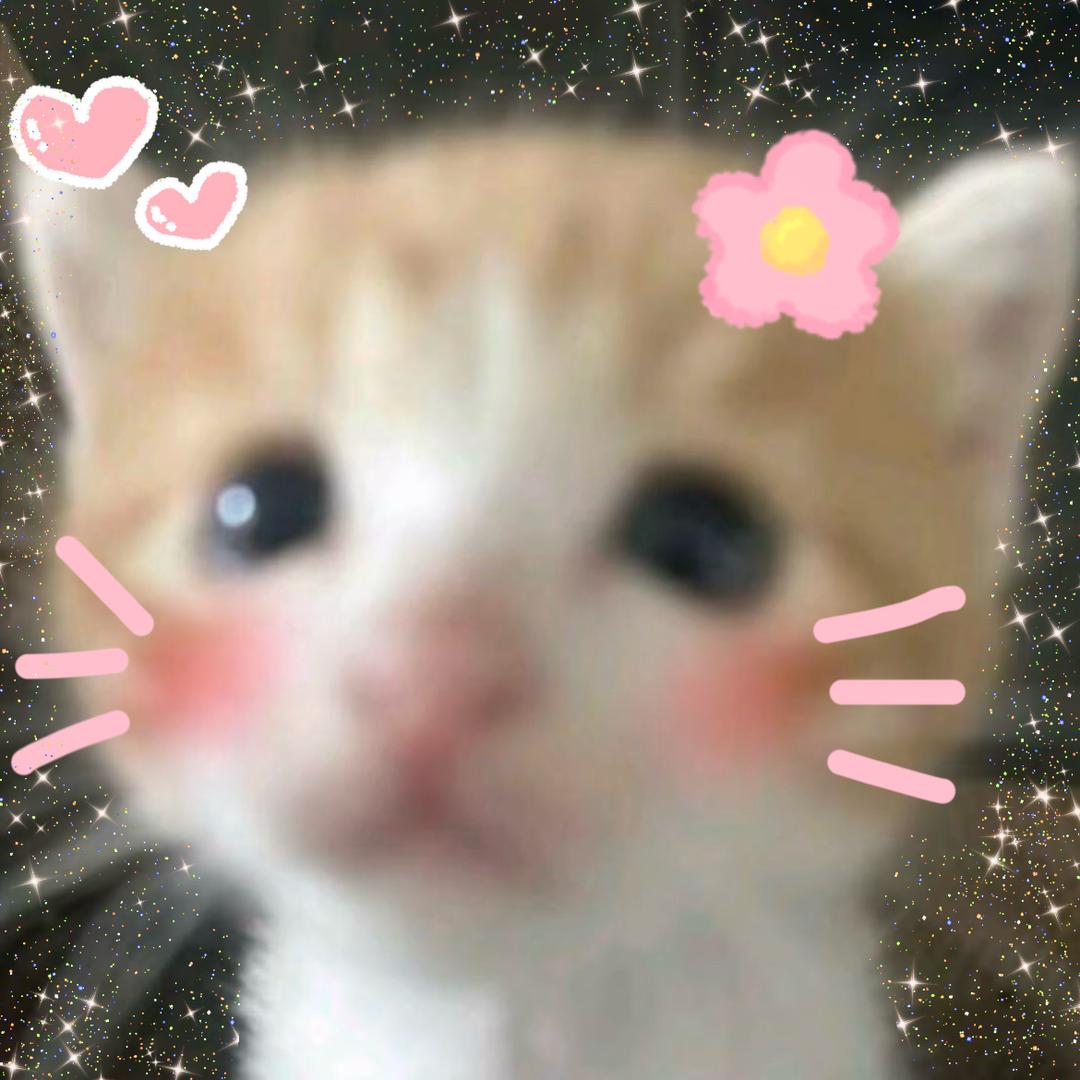 橙子是唯一的水果