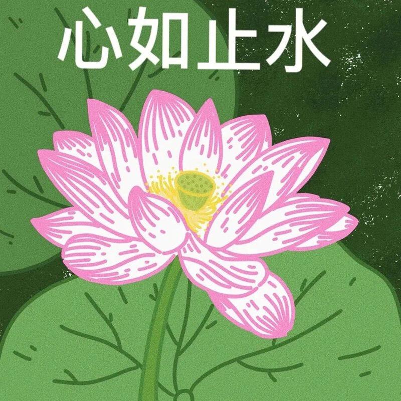 我不是琪⁉️