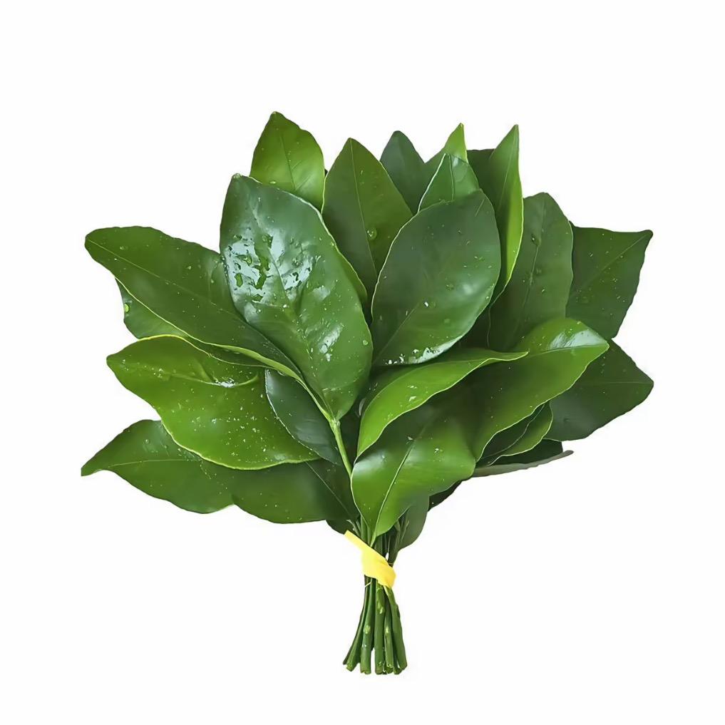 是什么样的风