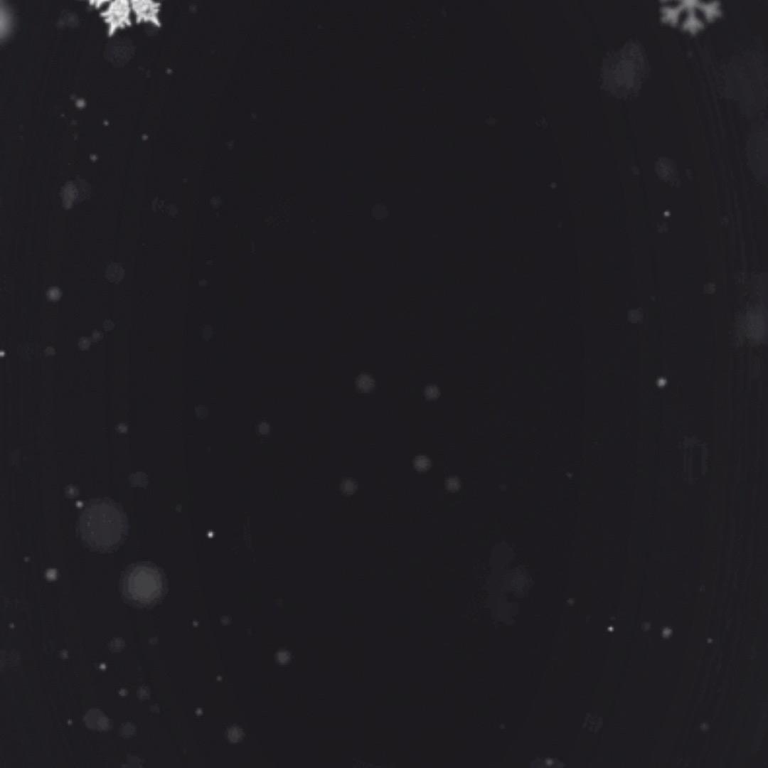 Sonw