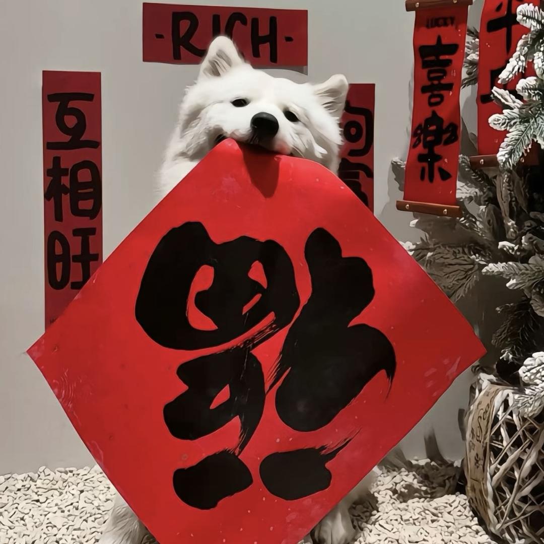 蕾燎彤选品