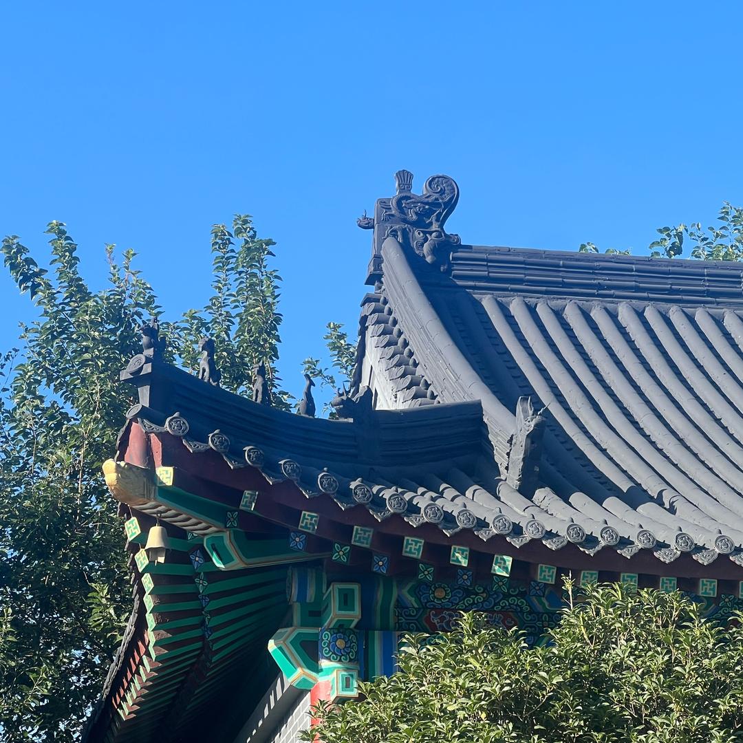 笑看天下风云