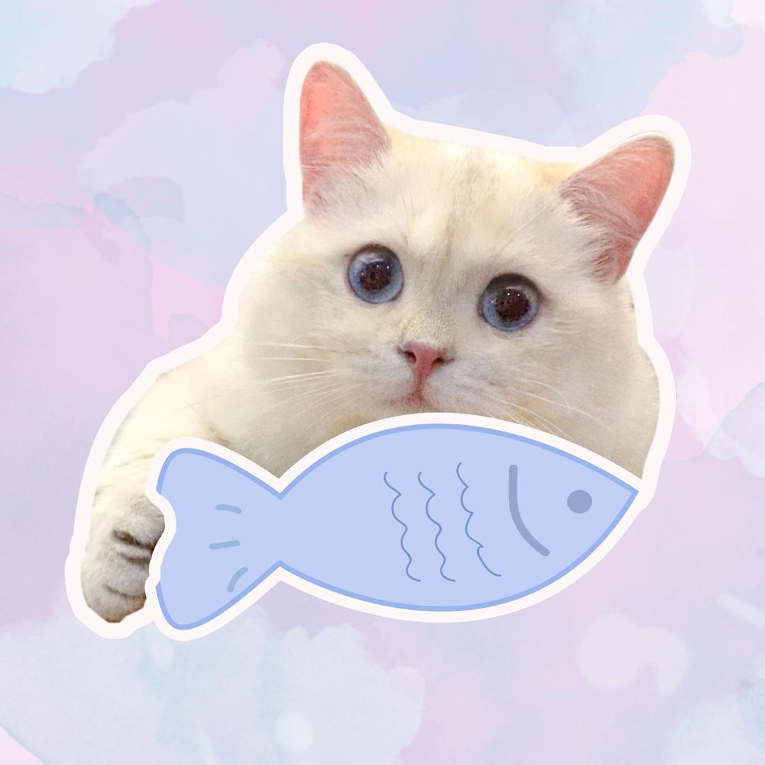 毛桃桃大眼袋@抖音