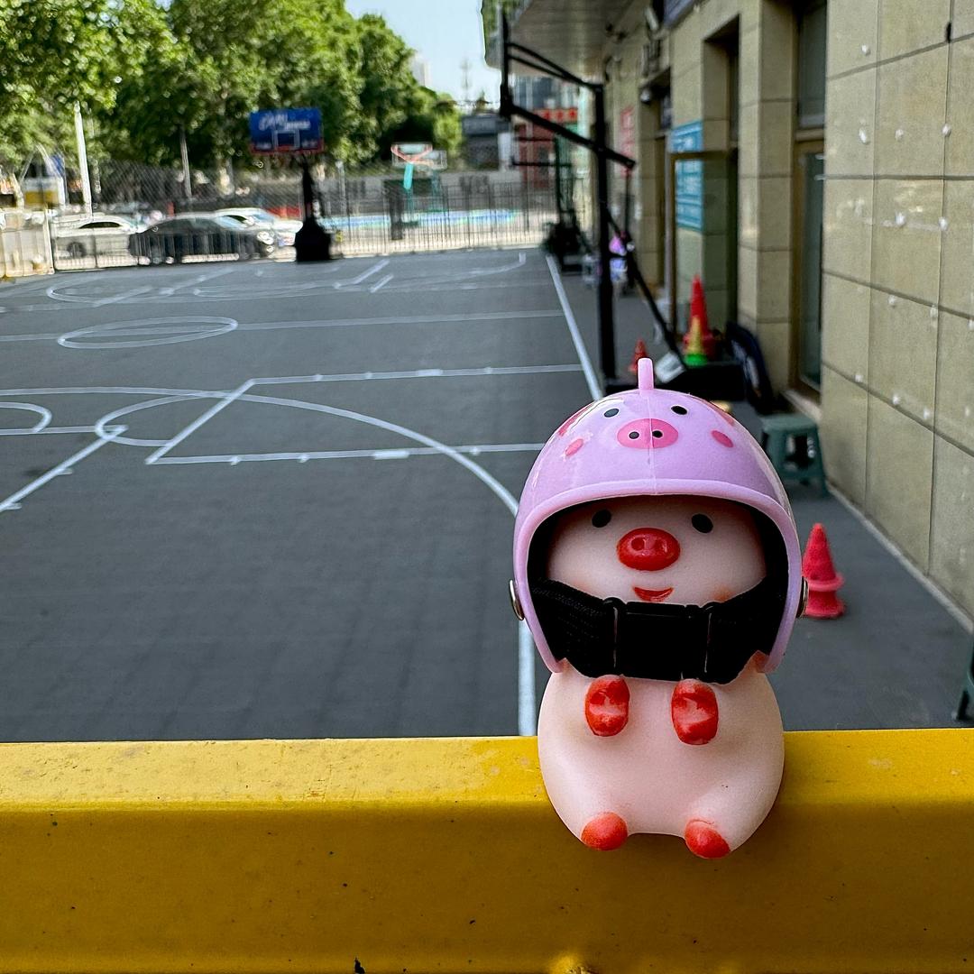 红尘历练的少女姜糖头像