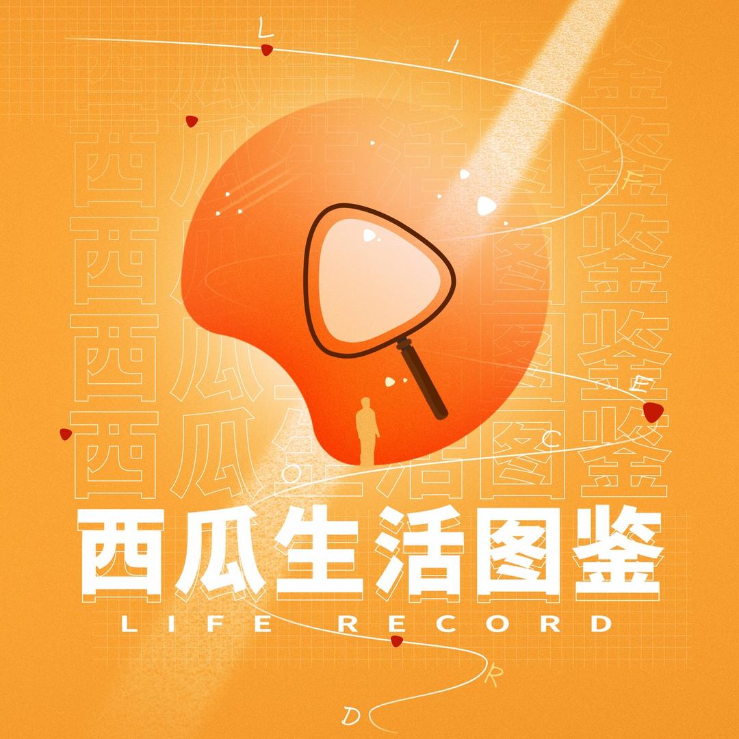 西瓜生活图鉴