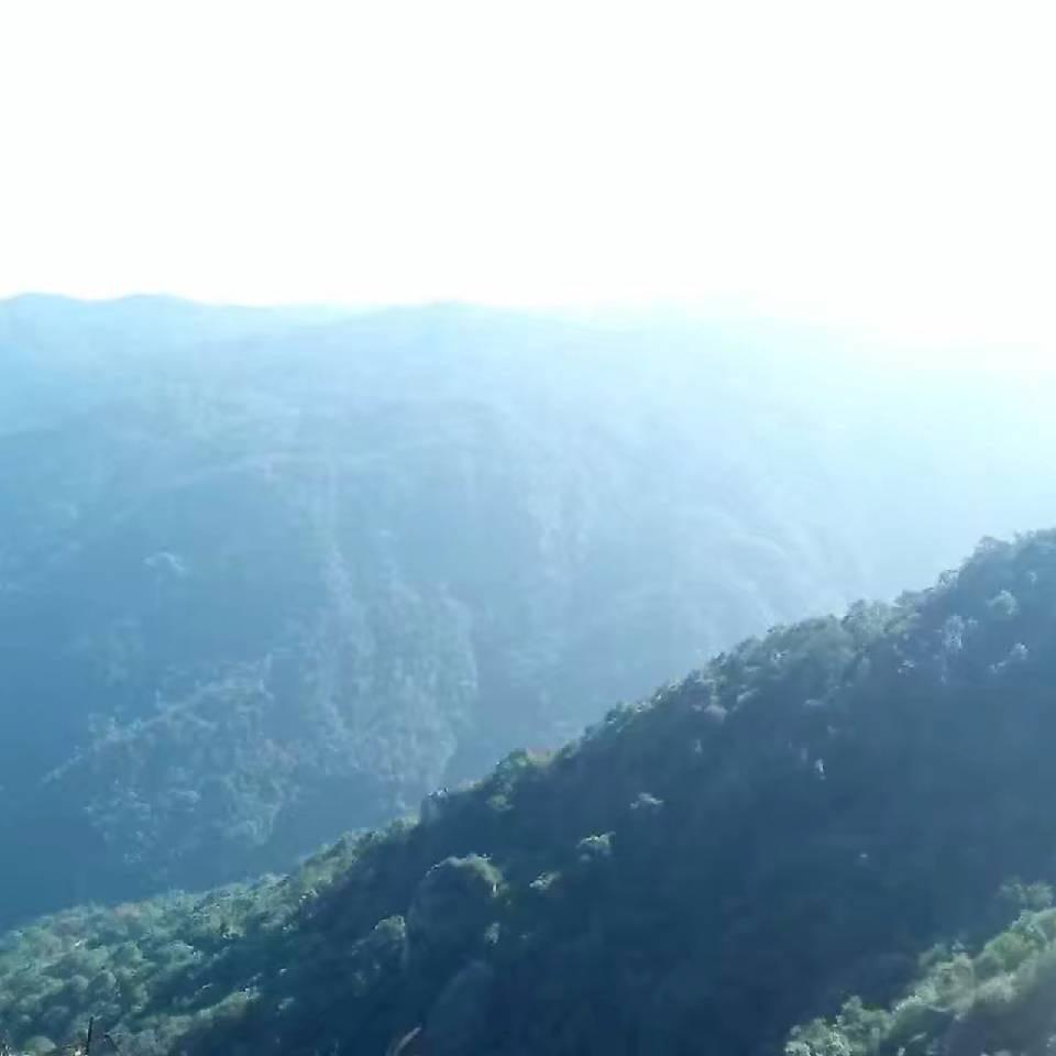 韶华依旧