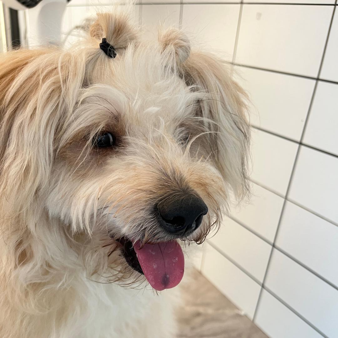 家庭美甲工作室（努力搓甲版）