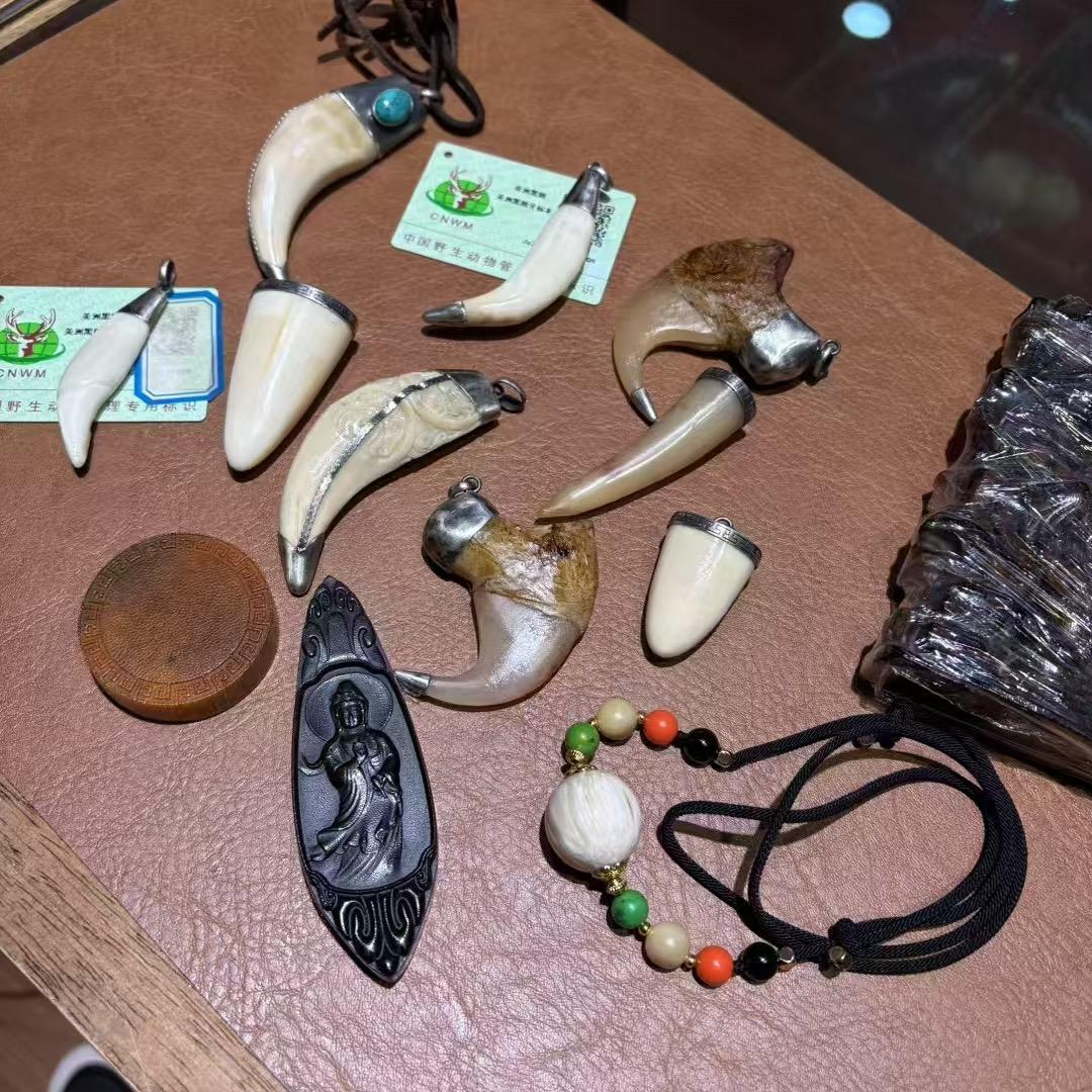 大雷牙骨角鉴定