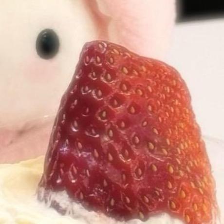 扶苏