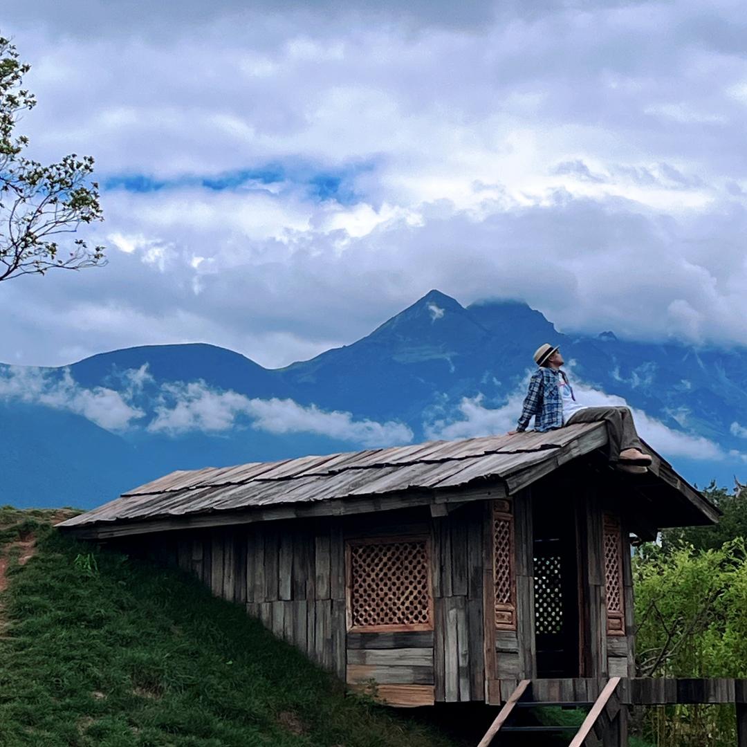 热心市民大熊🐻