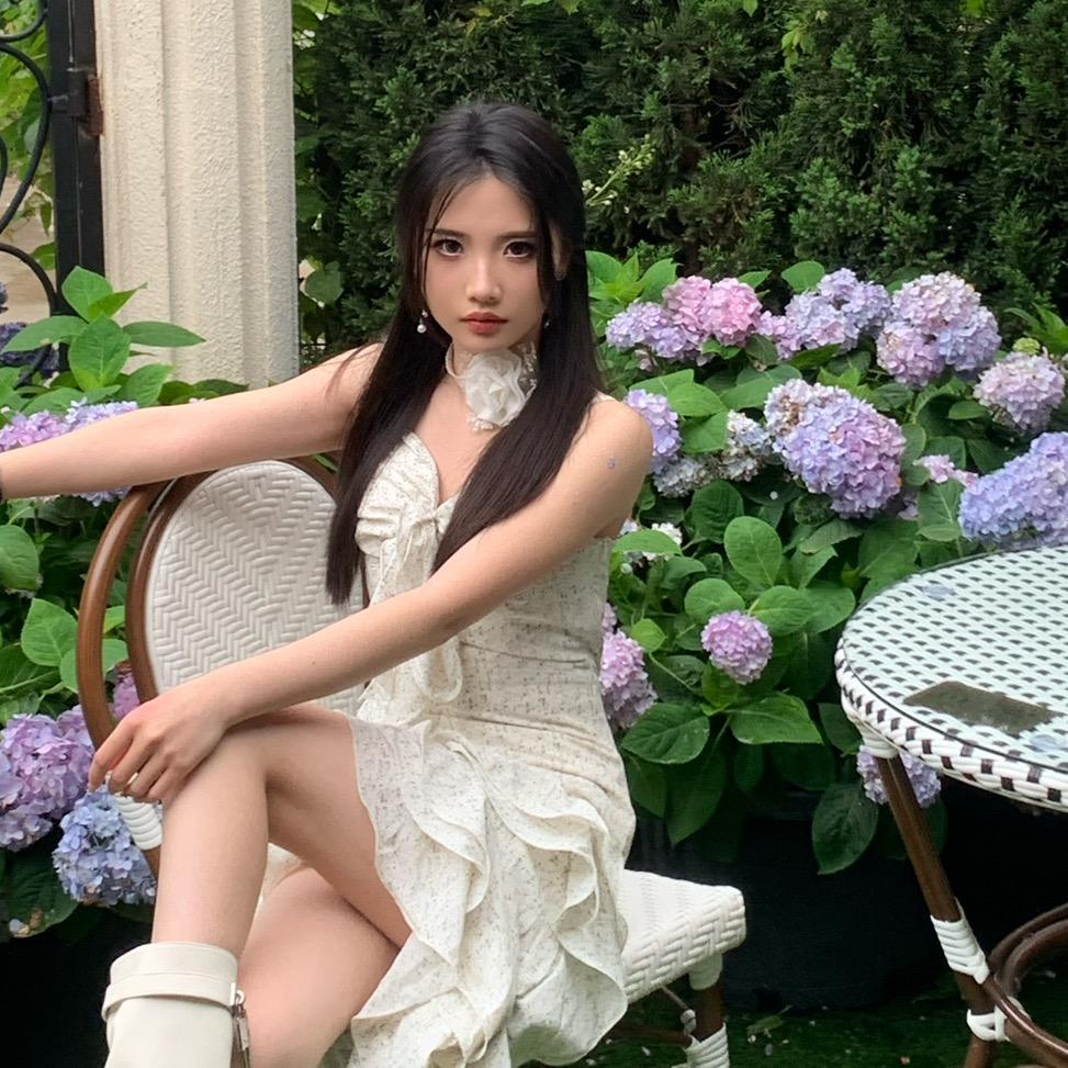 阿妮不是Roman