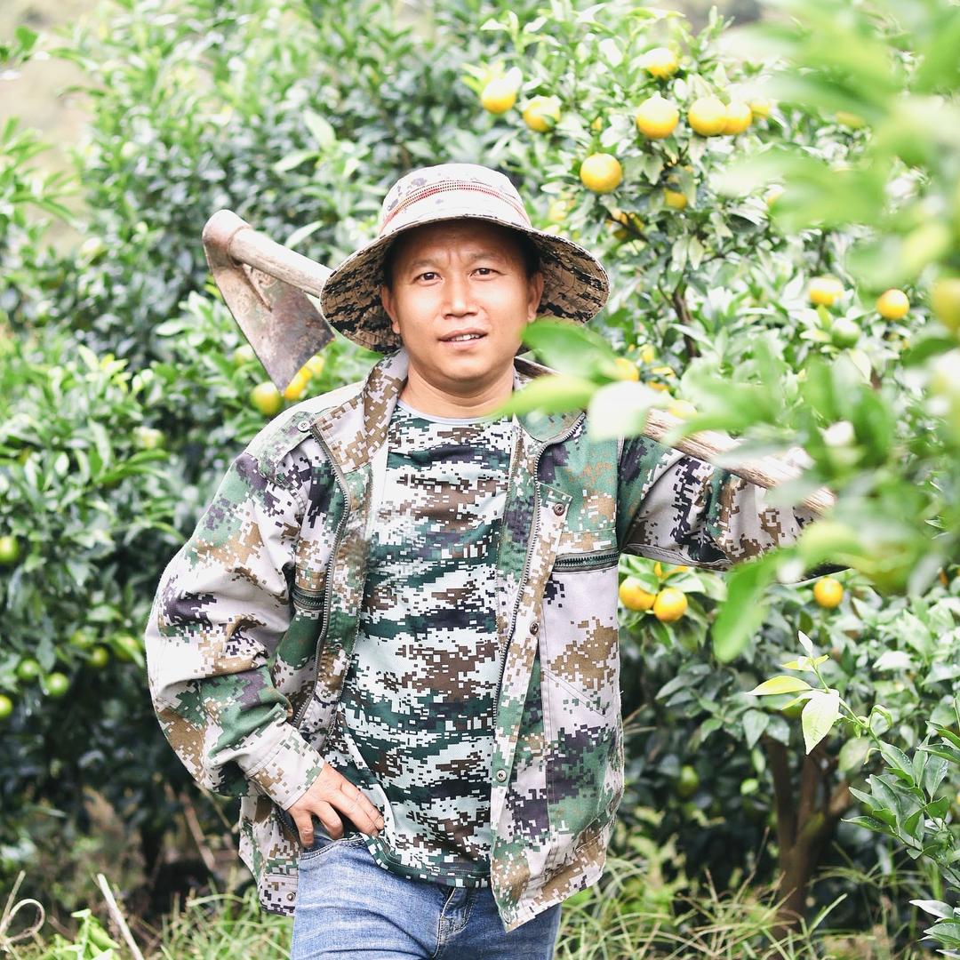 永州辉哥山茶油