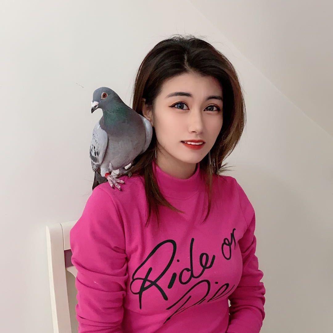 大悦信鸽