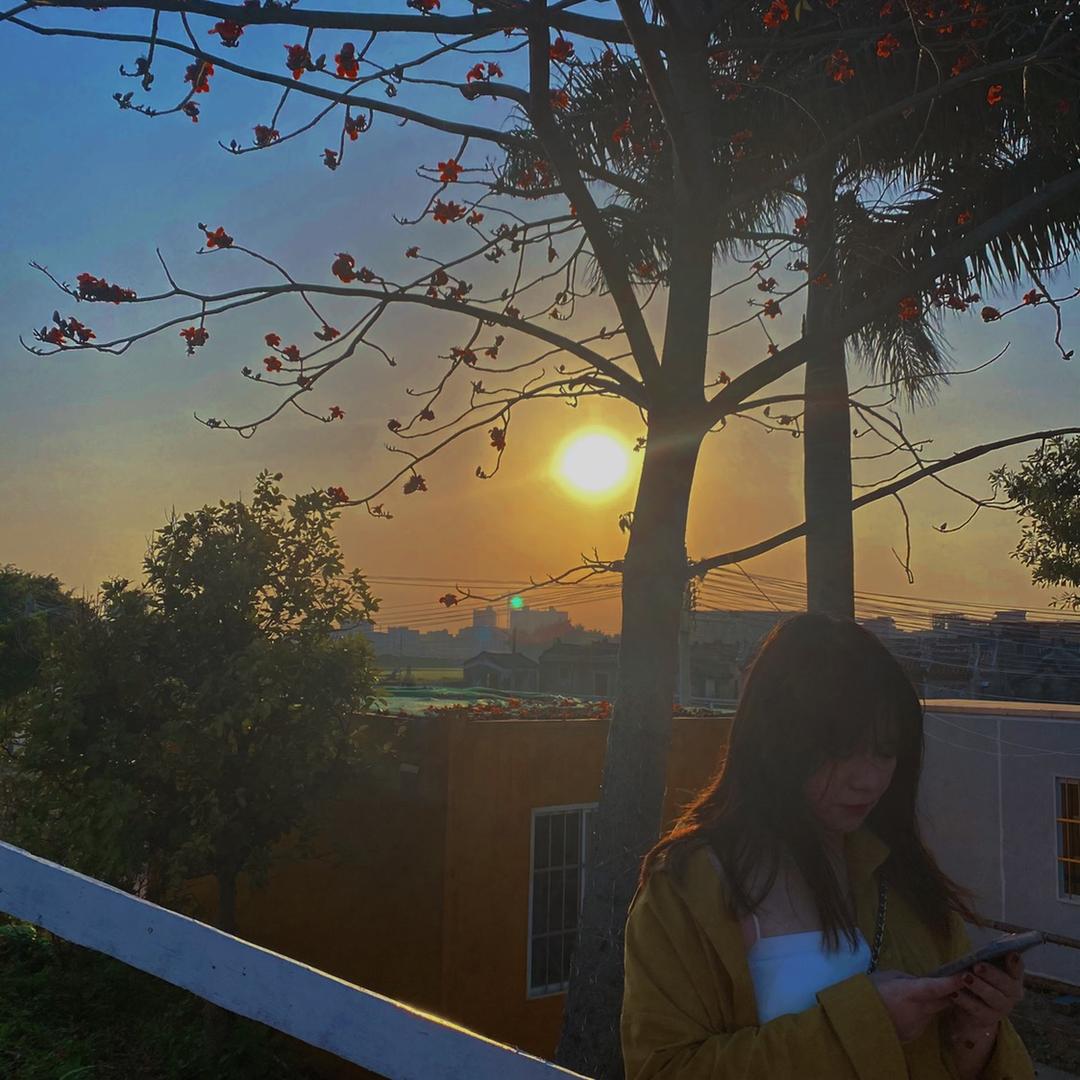 @Dora带货教学