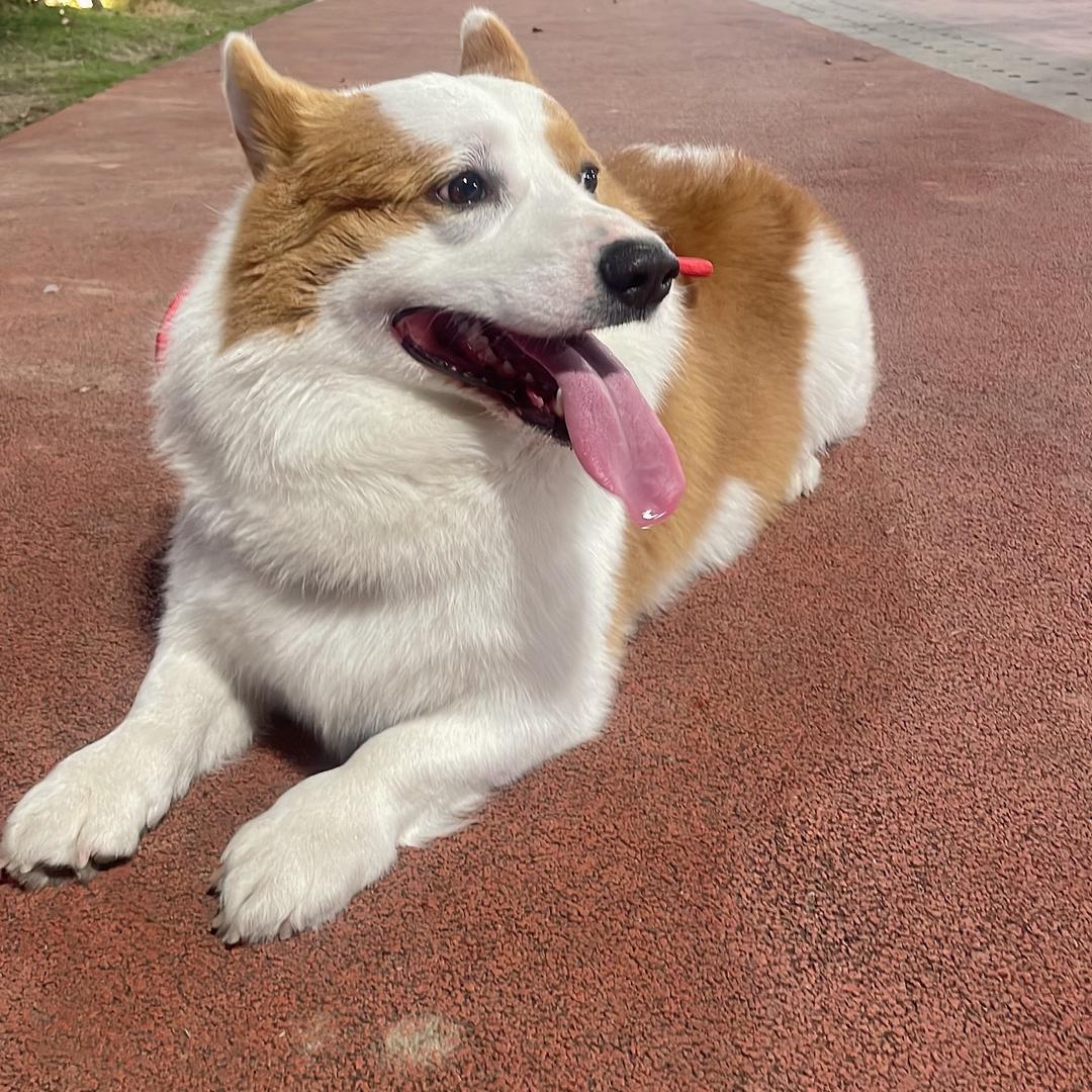 夏天