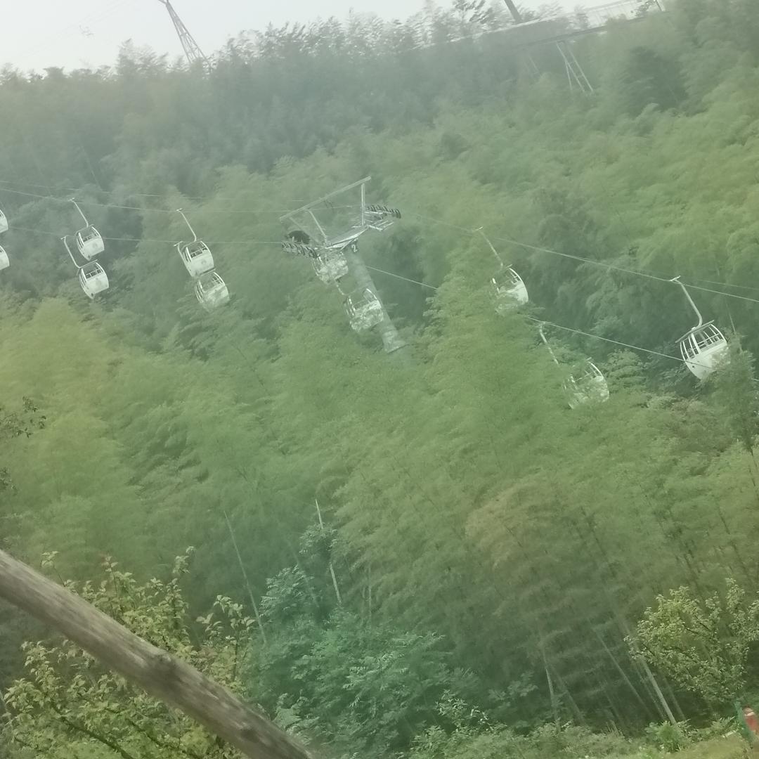 🌻🌻🌻向日葵