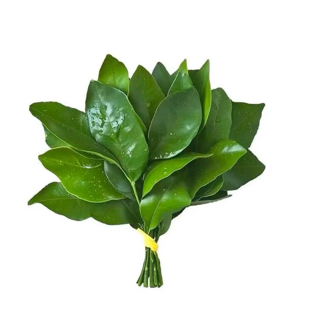 我能怎么办