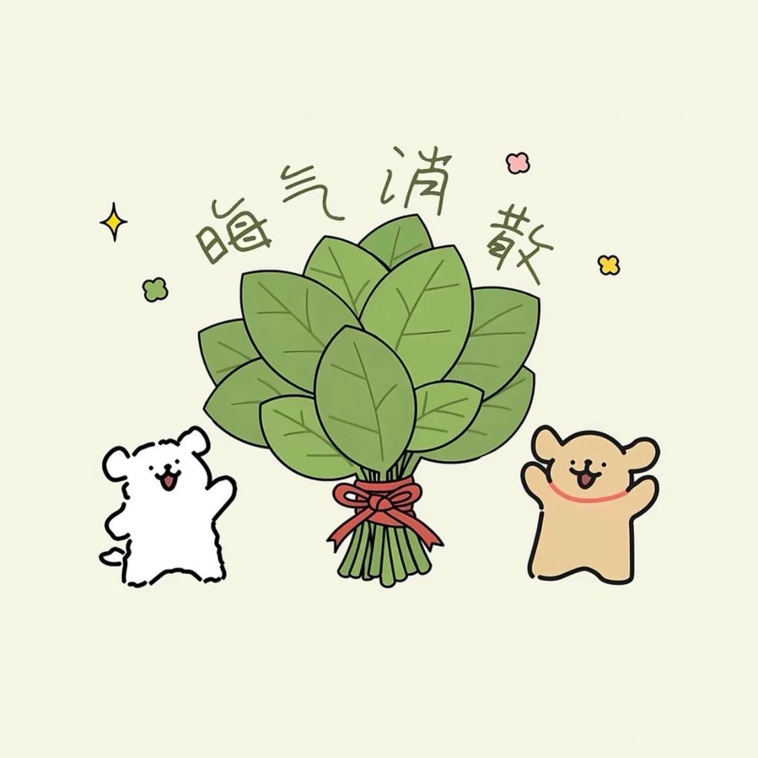 圆北北