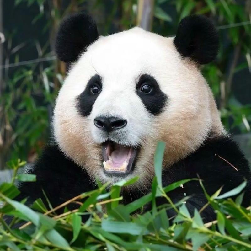 蓝景源教育