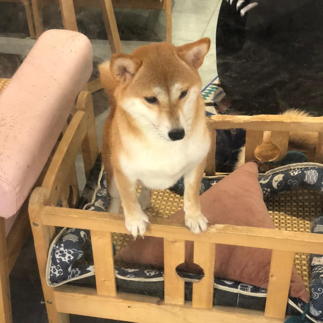 八月过半已