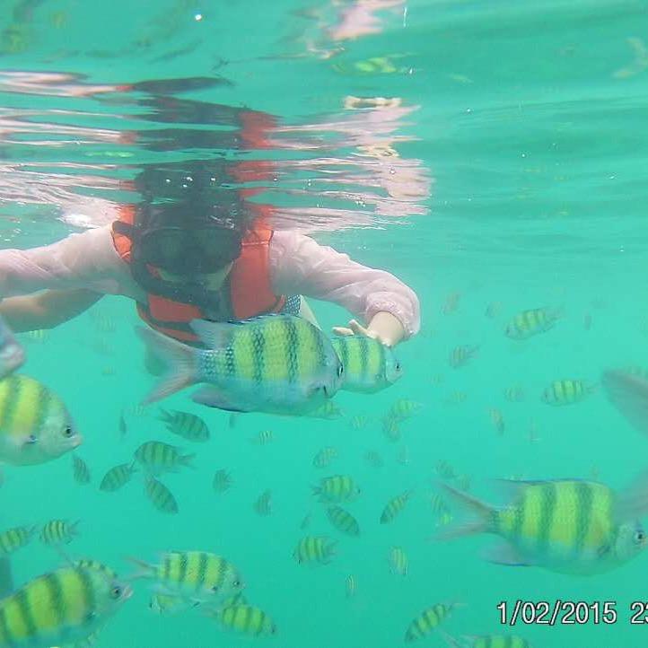 薯条&可乐&爸爸