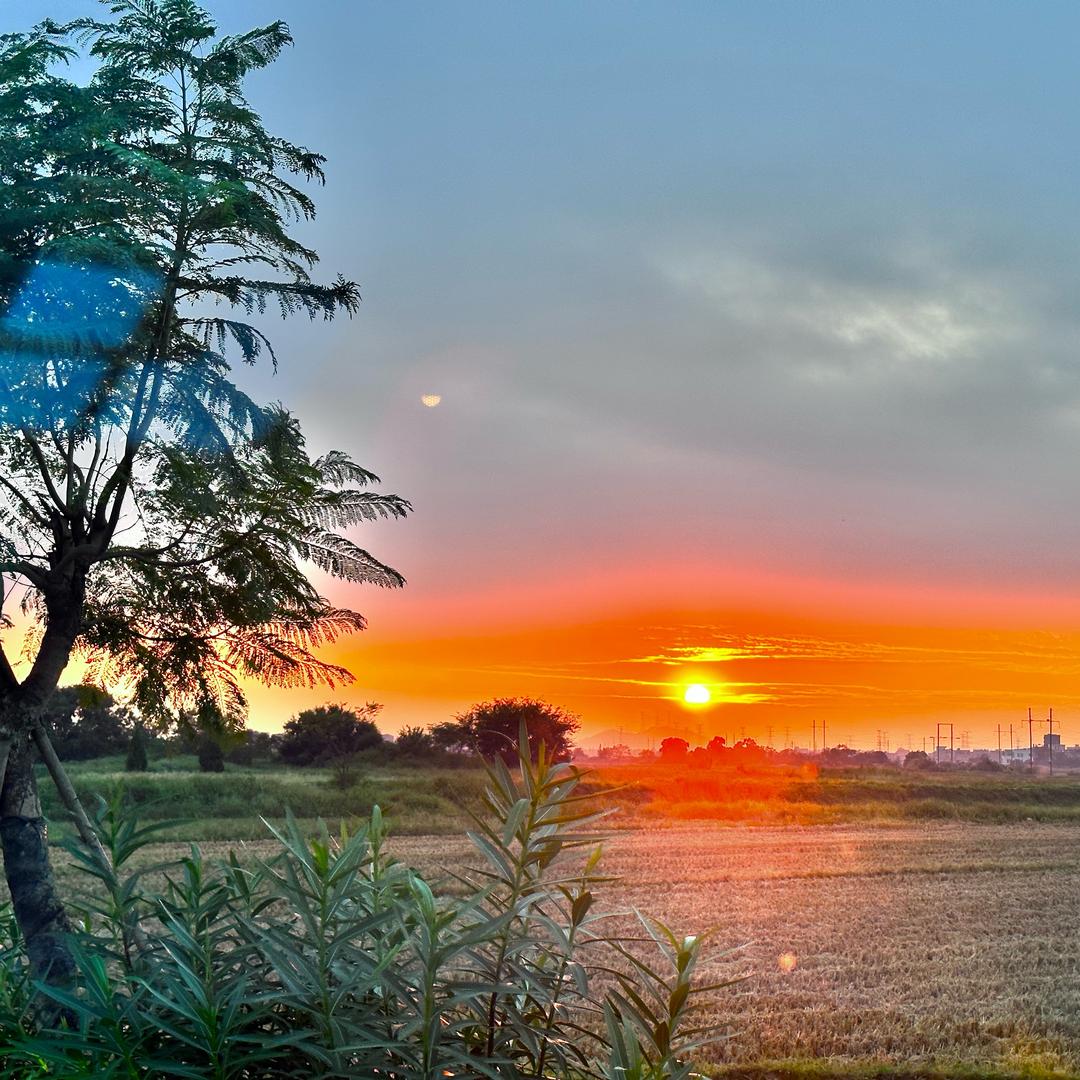 顺心顺意顺财神