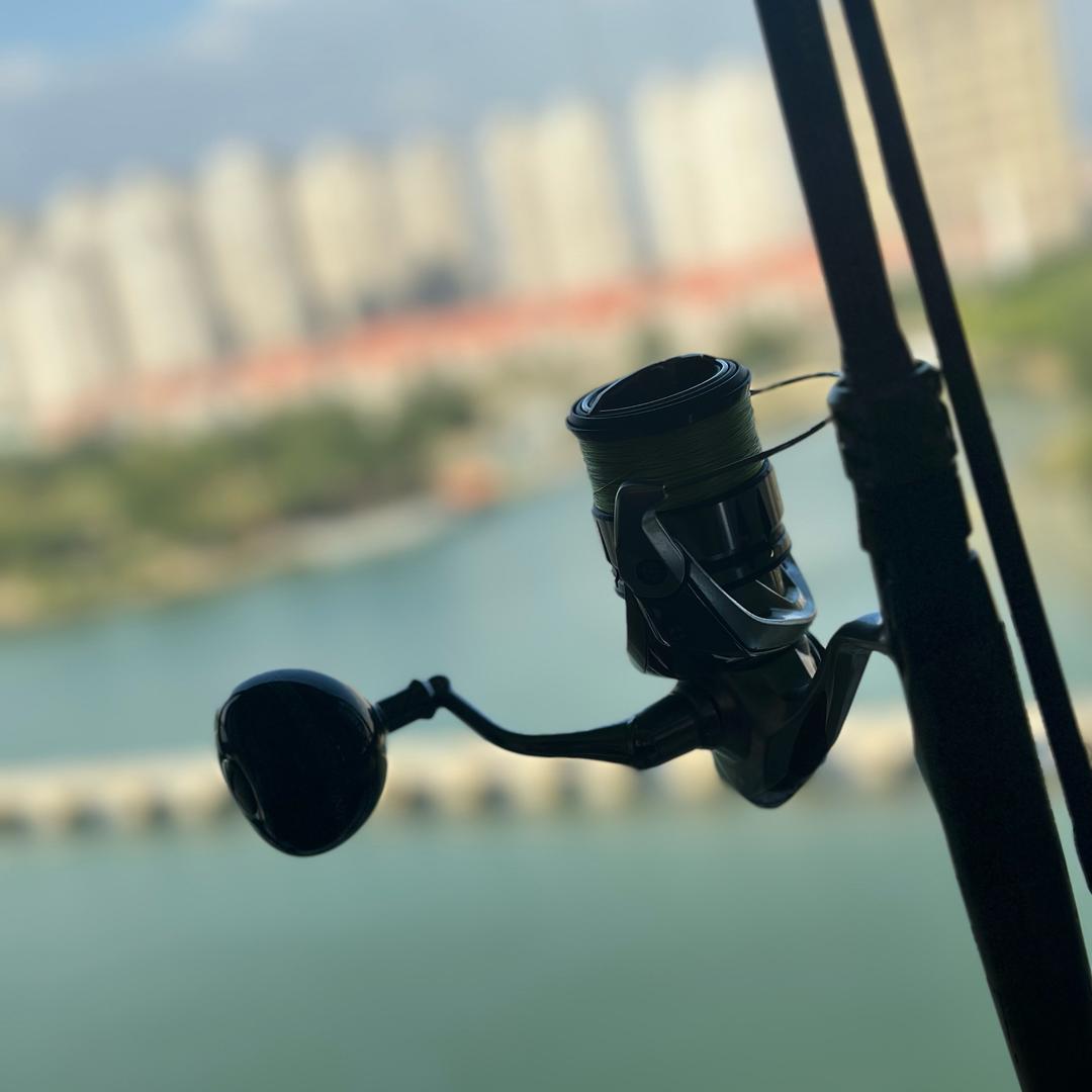 铁板大跳🐢