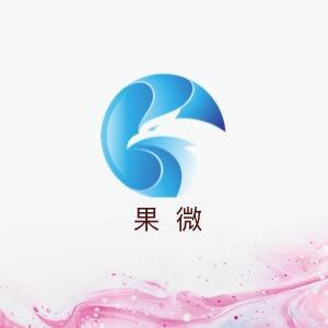 果微精选服饰