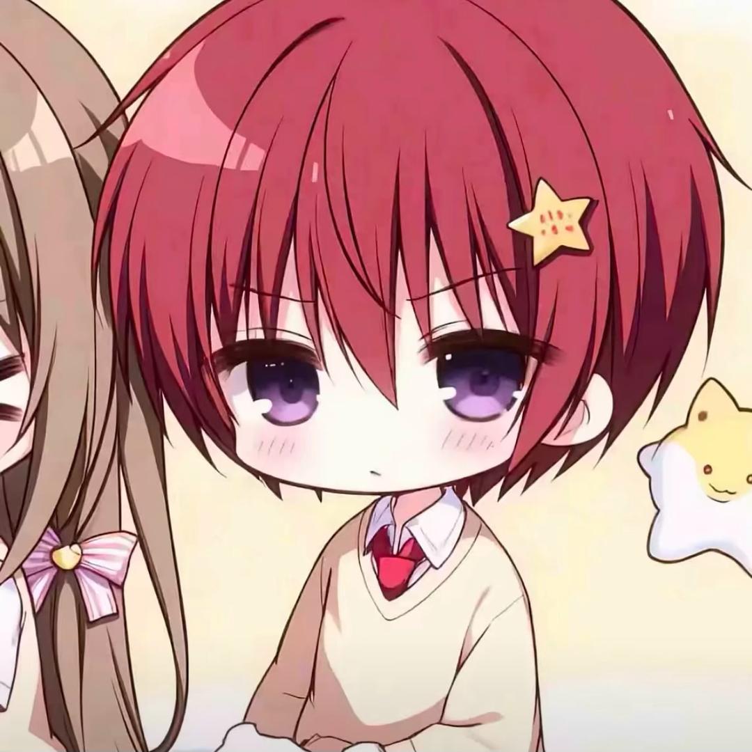 鸭头