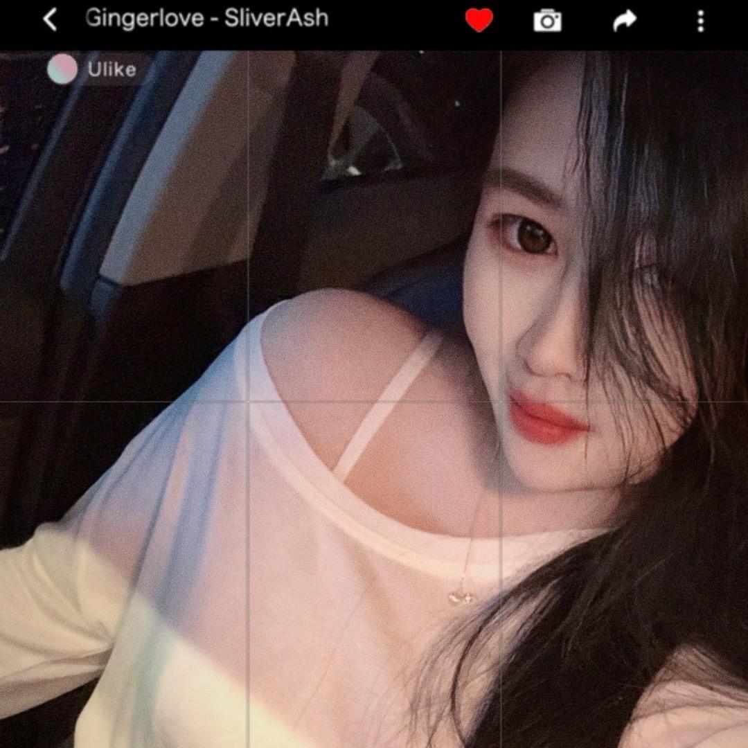 Camellia🌸山·茶