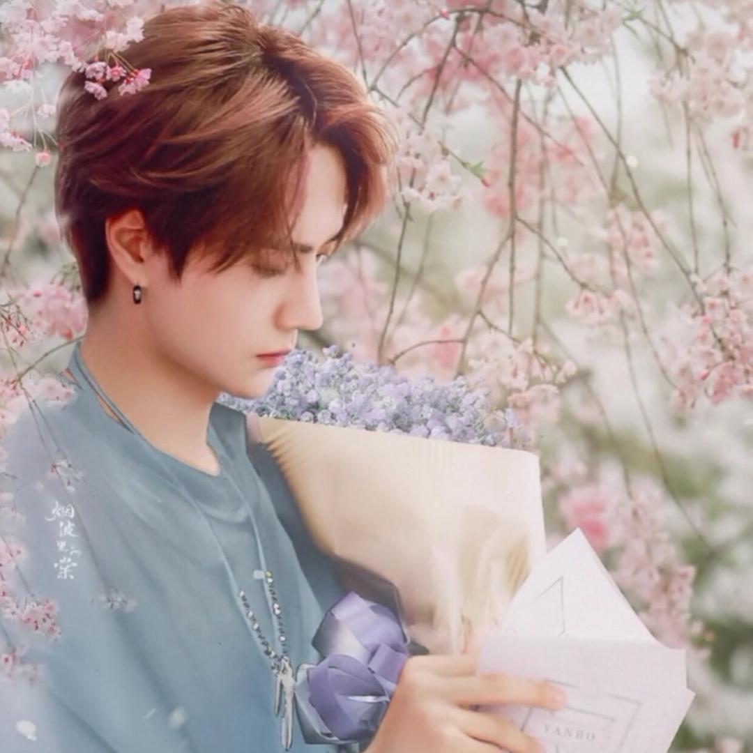 🍥芋泥卷 ⁺ ♡₊⋆