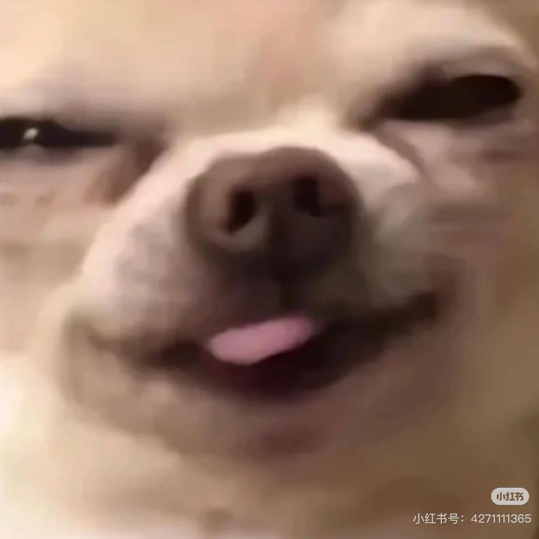 打嗝小狗