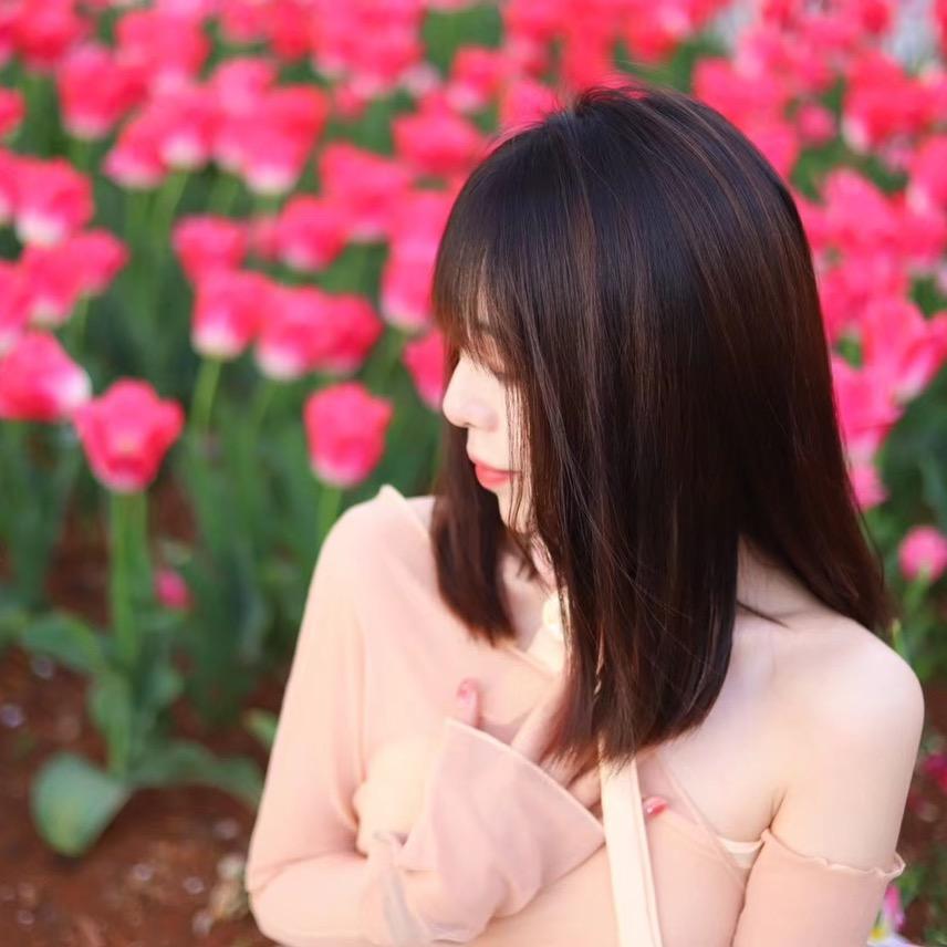 小鹿在甜岛