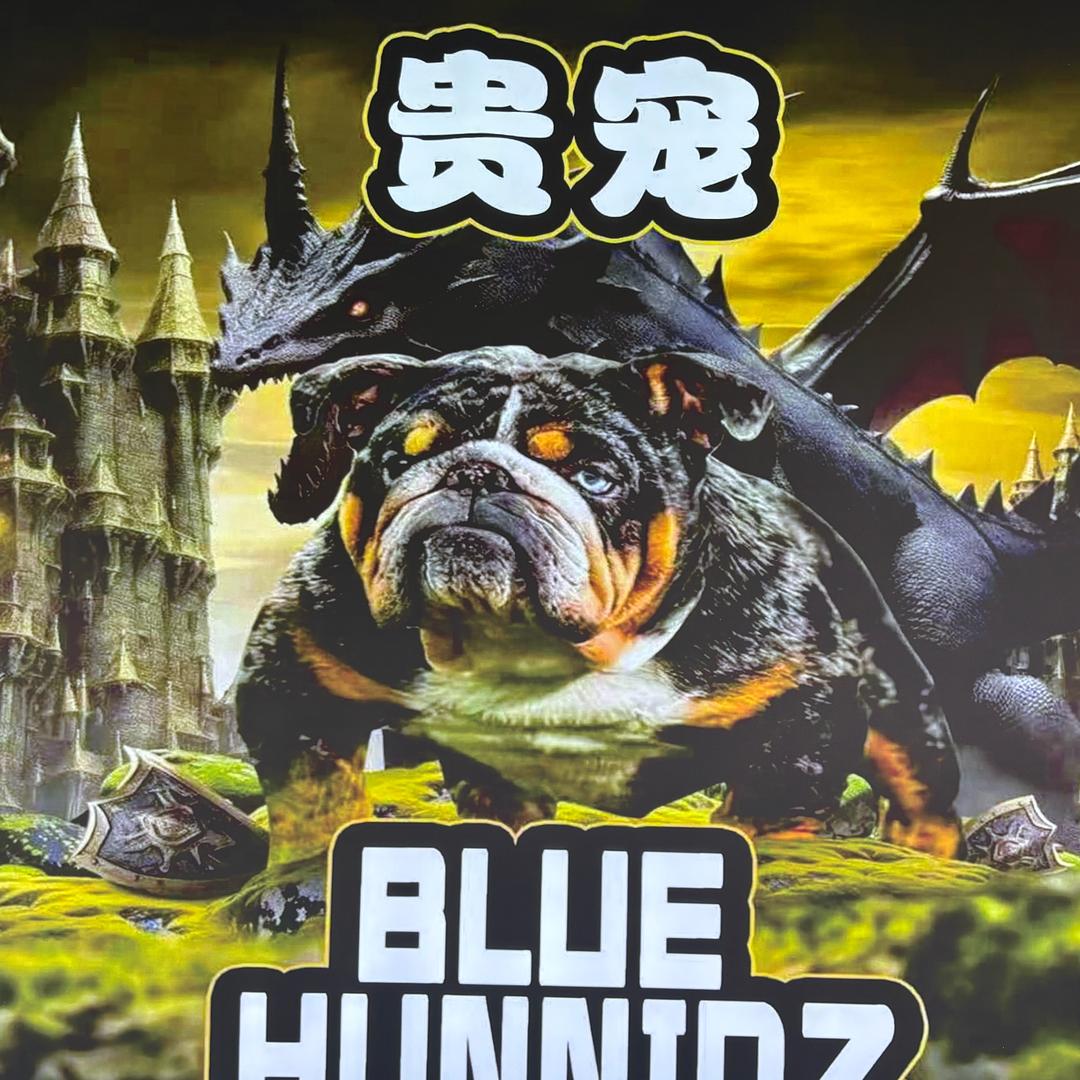 贵宠舍