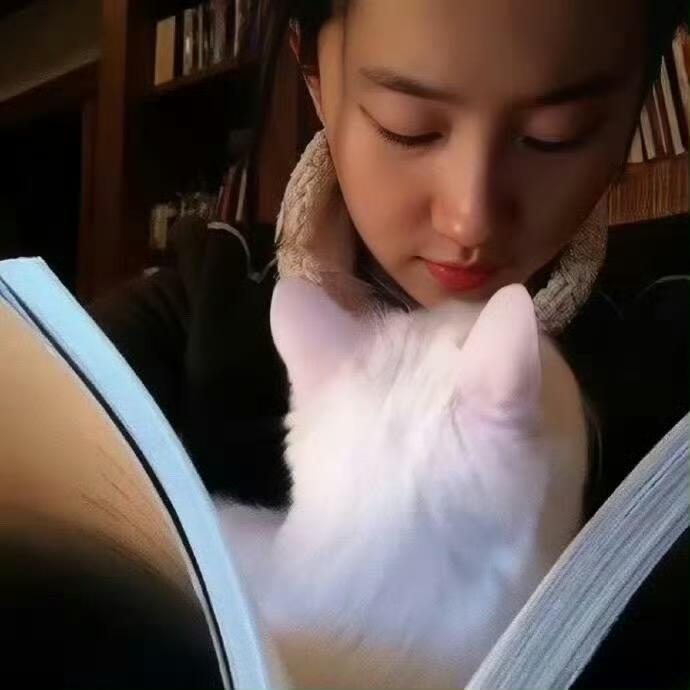 二十