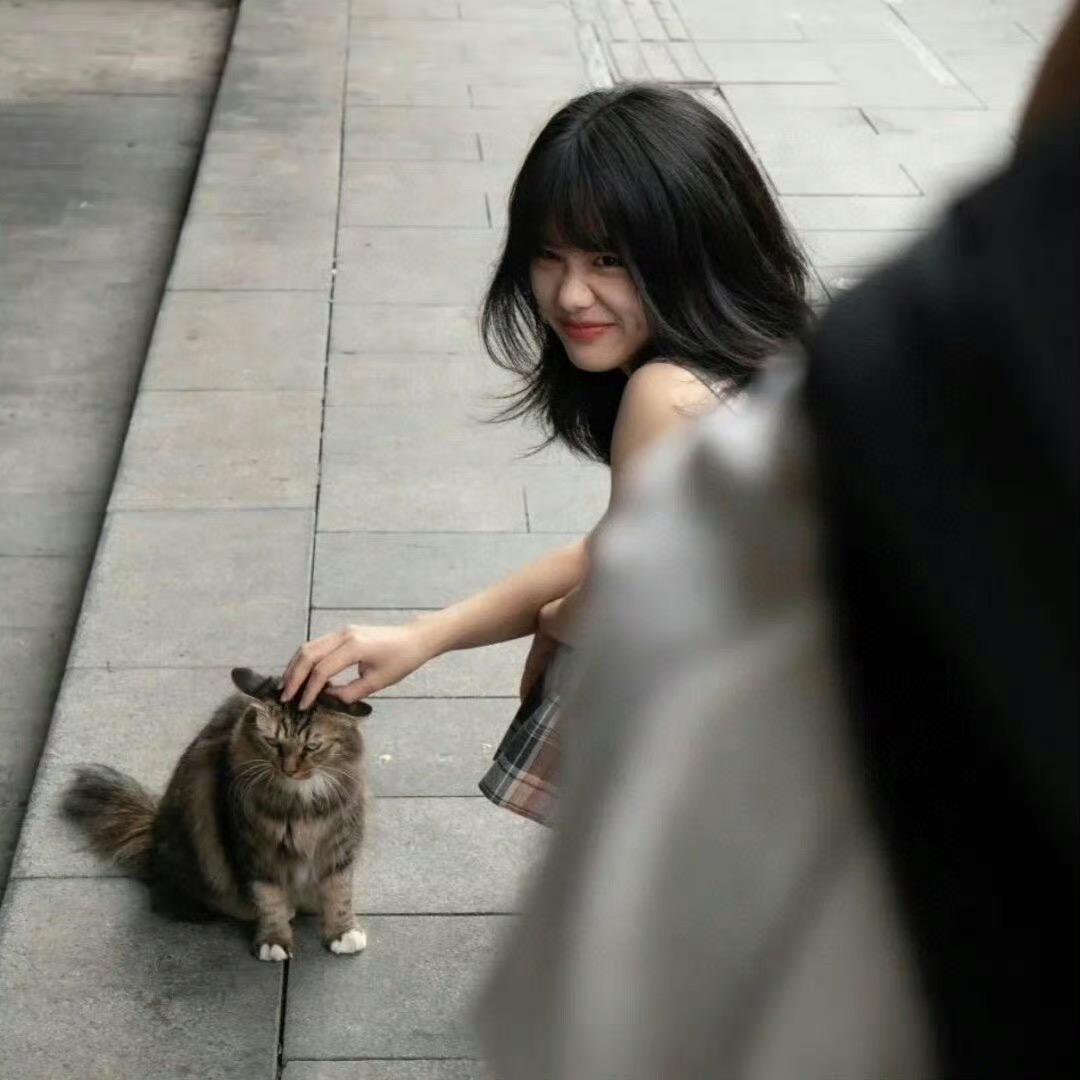 别摸我