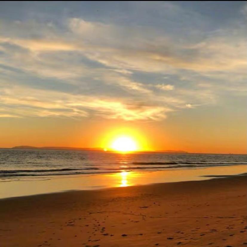 🥀ঞ攀攀₅₂₀