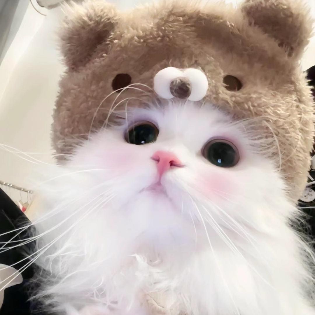 烤黑糖波波真乳茶