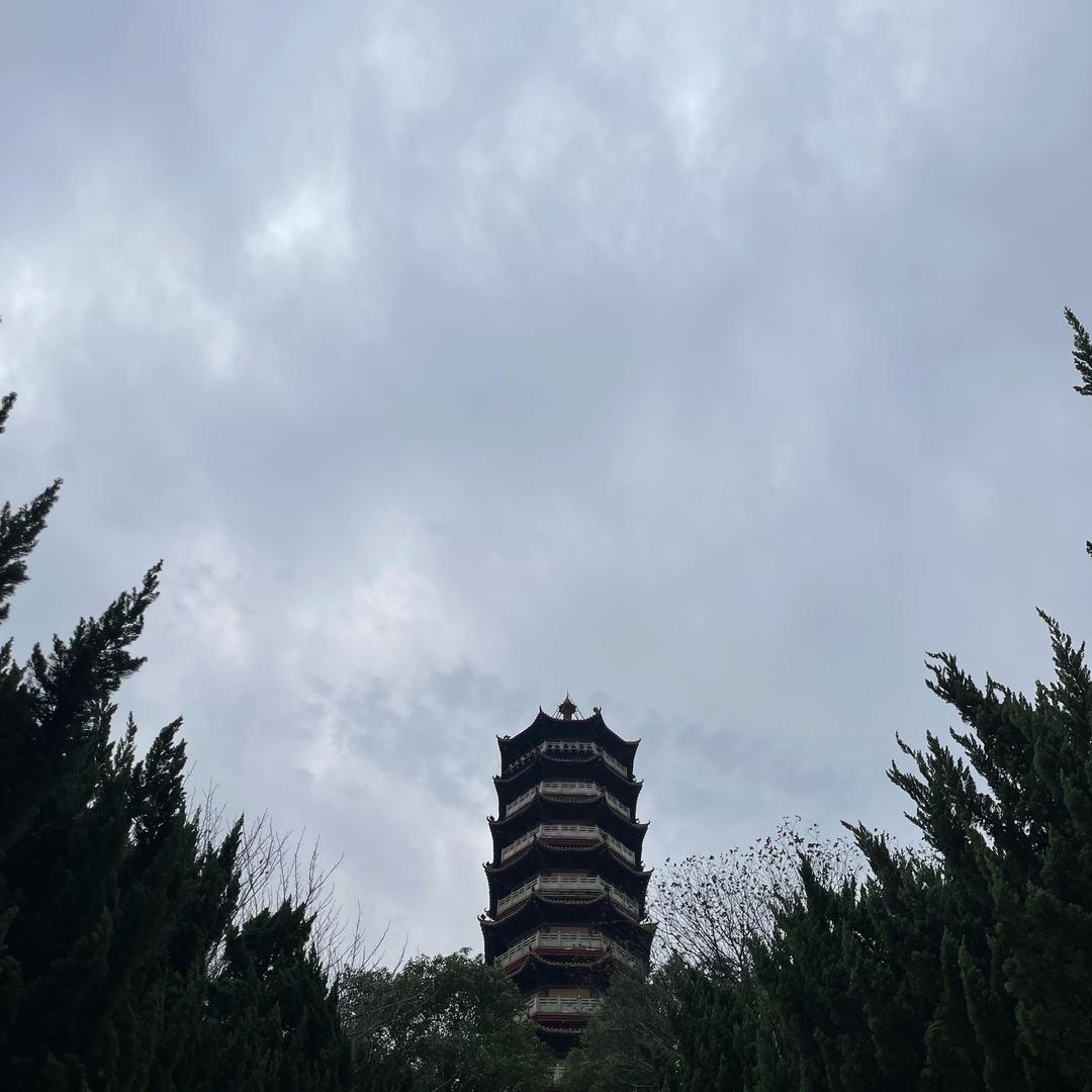 呵呵哈哈嘻咦黑